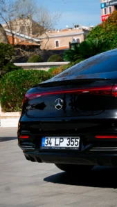 Pet friendly private transfer Istanbul airport